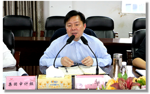集團(tuán)黨委委員、紀(jì)委書記彭向華強(qiáng)調(diào)審計整改工作要深挖思想根源(圖2)