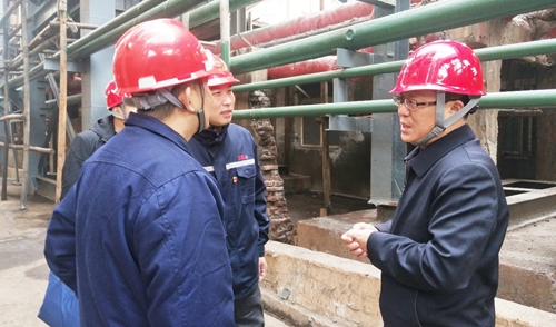 王大真到雙環(huán)公司現(xiàn)場調(diào)研并組織召開干部大會(圖1) 王大真到雙環(huán)公司現(xiàn)場調(diào)研并組織召開干部大會(圖1)
