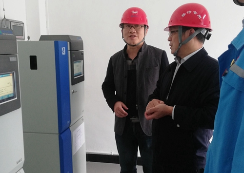 王大真到松滋肥業(yè)、楚星公司現(xiàn)場辦公(圖3)