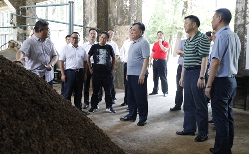 袁衛(wèi)東、王大真到金沙酒業(yè)調(diào)研指導(dǎo)工作(圖2)