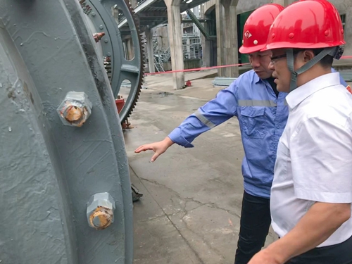 王大真到松滋肥業(yè)、楚星公司和TMP項目現(xiàn)場檢查工作(圖2)