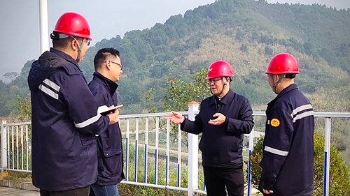 王大真到松滋肥業(yè)、楚星公司、新材料公司和股份公司現(xiàn)場(chǎng)調(diào)研(圖1)