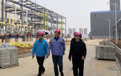 王大真到松滋肥業(yè)、楚星公司、新材料公司和股份公司現(xiàn)場(chǎng)調(diào)研(圖3)