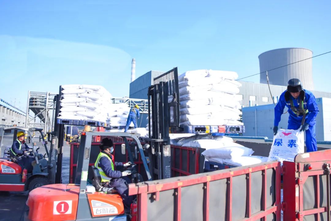新疆宜化：開足馬力忙生產(chǎn)，全力搶抓“開門紅”(圖3)