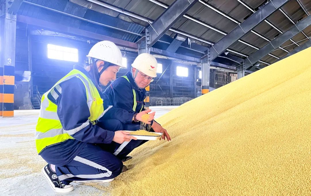 股份公司：精準(zhǔn)施策促提升，全力奪取“開門紅”(圖4)