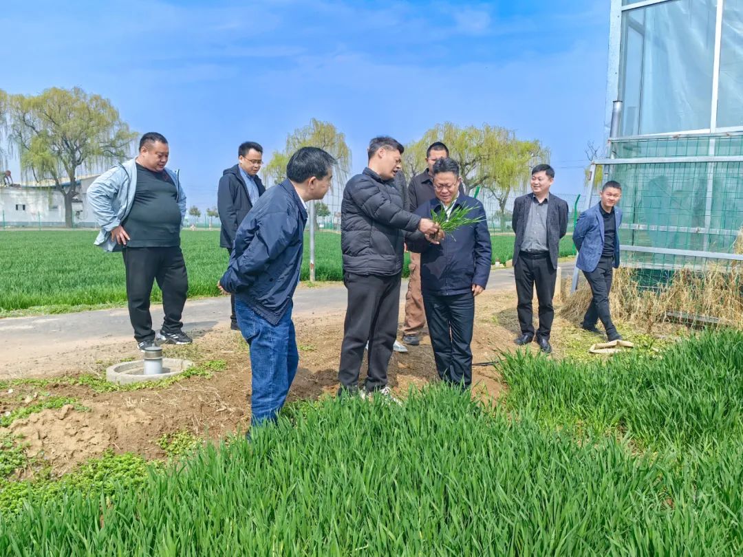 王大真走訪調(diào)研河南銷售市場(圖2) 王大真走訪調(diào)研河南銷售市場(圖2)