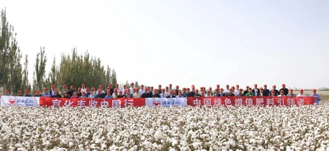 宜化豐收中國(guó)行！新疆棉花大型測(cè)產(chǎn)觀摩會(huì)成功舉行