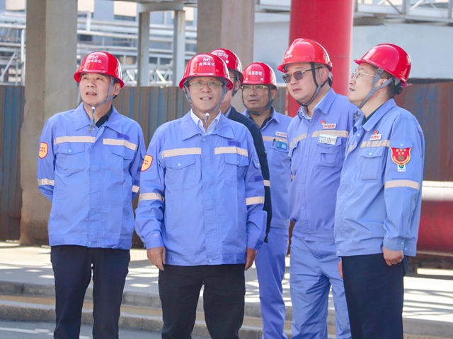 王大真到新疆、青海區(qū)域分子公司現(xiàn)場辦公(圖2)