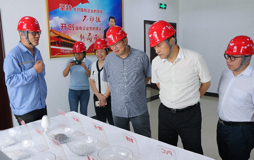 浙江金象科技有限公司總經(jīng)理王建中一行到訪(fǎng)宜化集團(tuán)