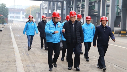 袁衛(wèi)東到股份、楚星和新項目現(xiàn)場調(diào)研