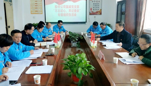 向宇飛列席指導(dǎo)股份公司氯堿黨支部“不忘初心、牢記使命”專題組織生活會(huì)