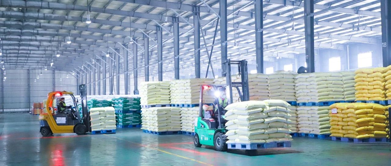 股份公司：抓住關(guān)鍵精準(zhǔn)發(fā)力，推動企業(yè)發(fā)展行穩(wěn)致遠